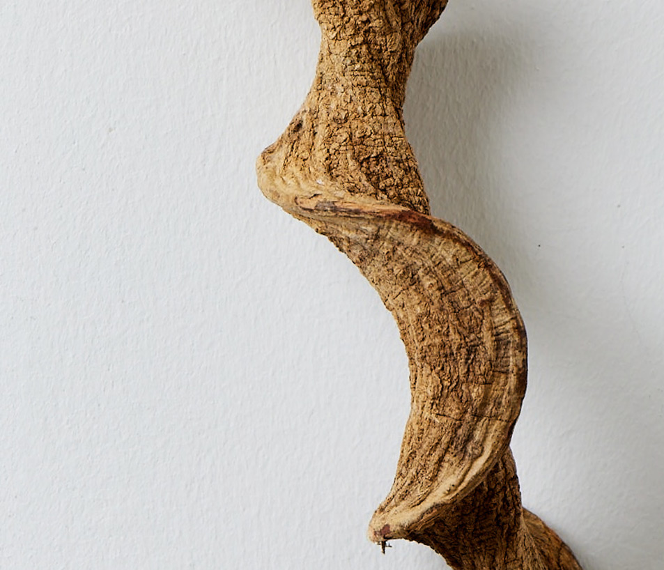 Nachhaltige Produkte HADO Holz Desktop