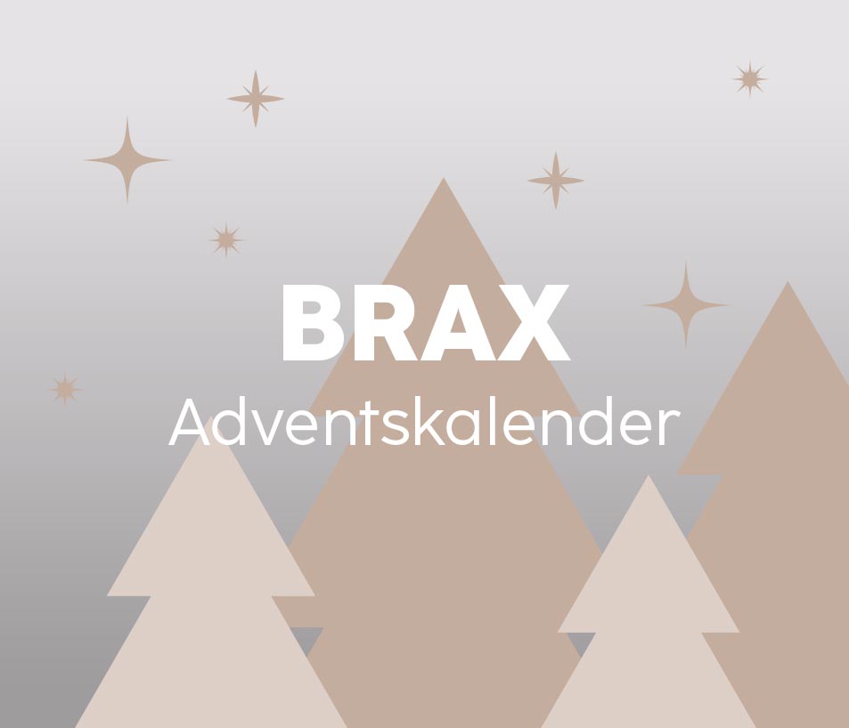 Landingpage Hado Christmas Desktop